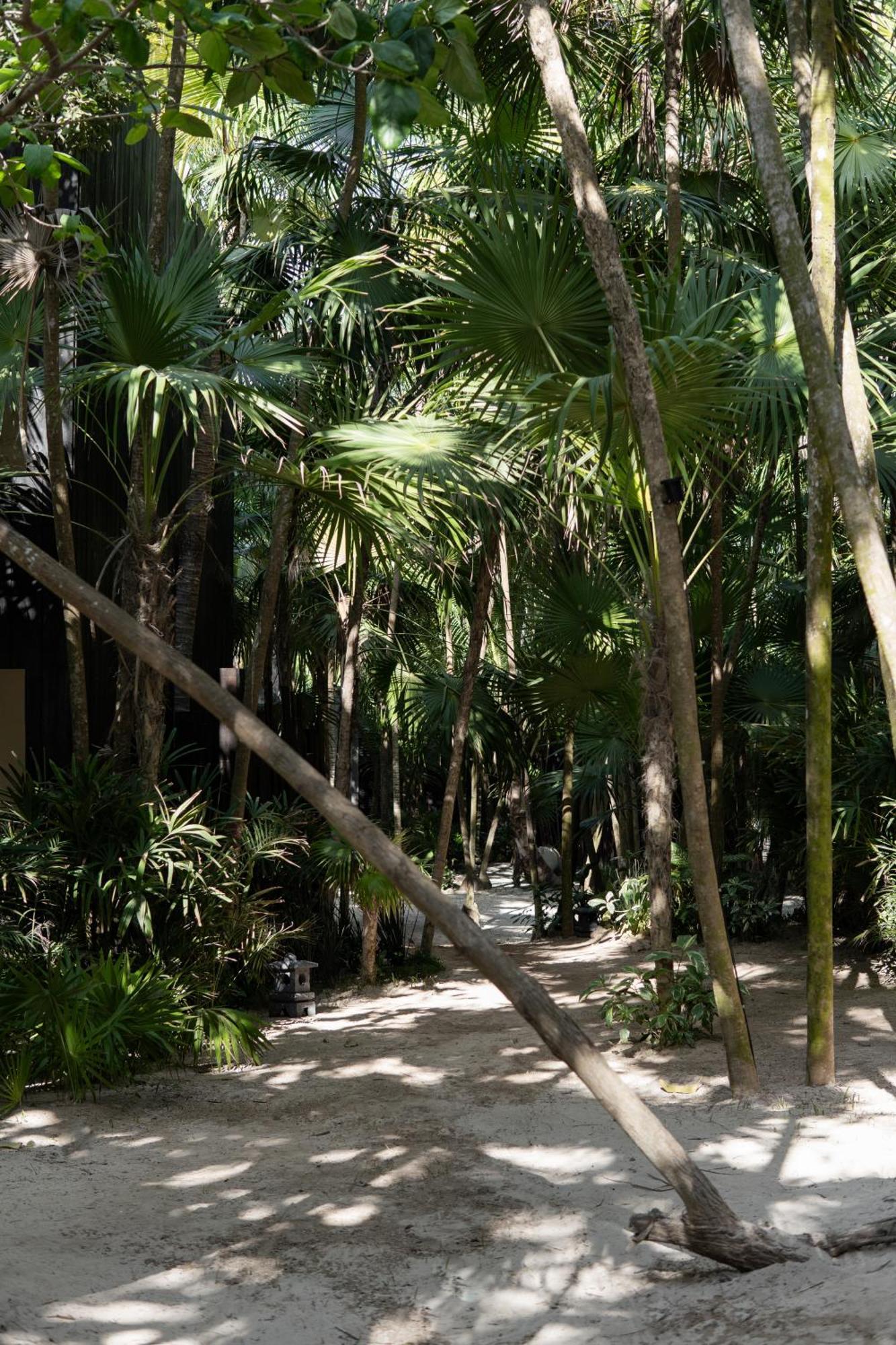 Umi Tulum Hotel Exterior foto