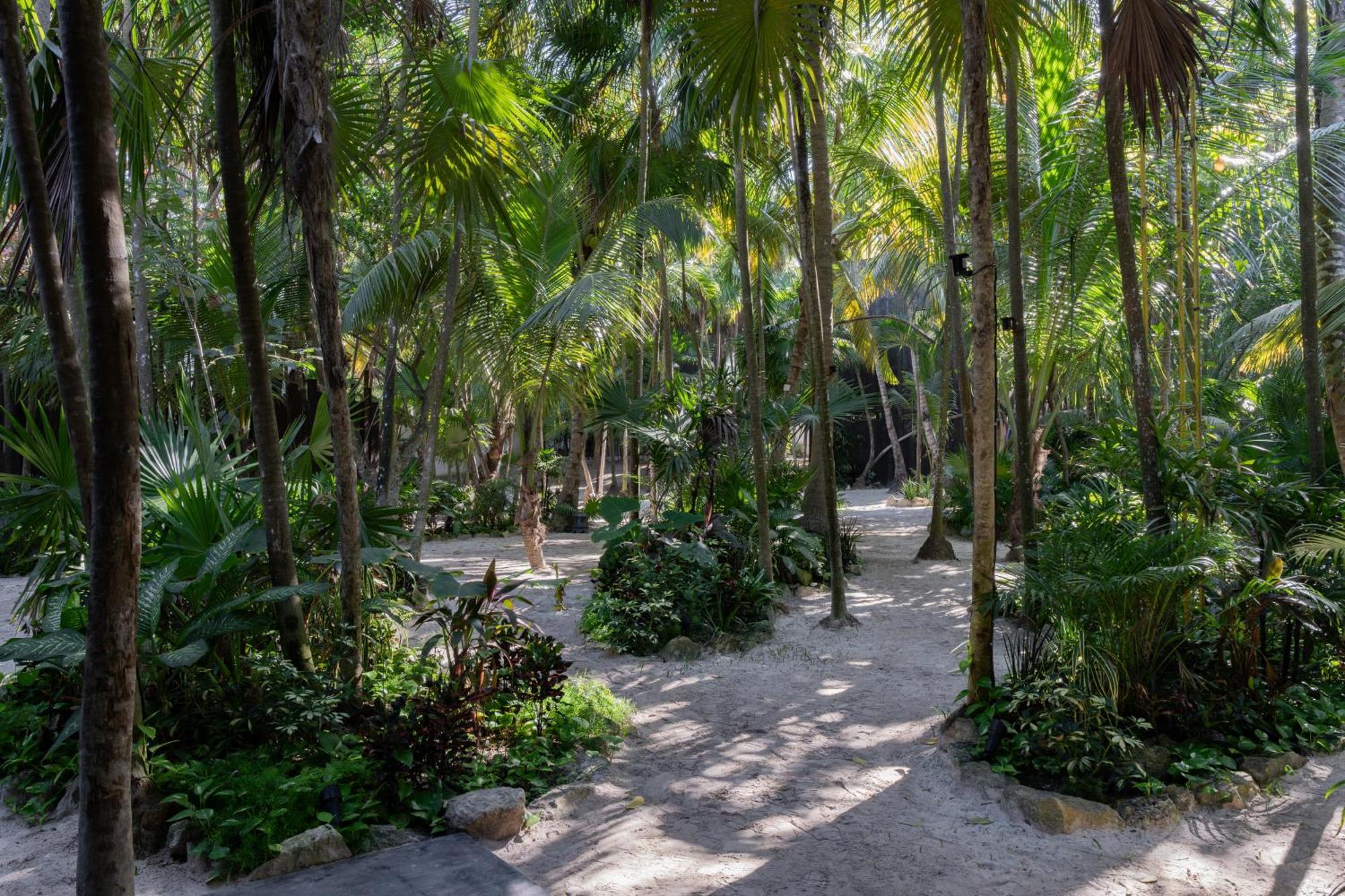 Umi Tulum Hotel Exterior foto