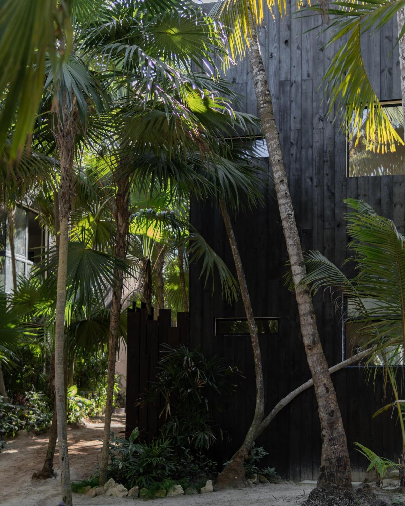 Umi Tulum Hotel Exterior foto